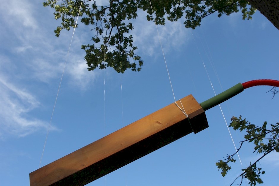 orgelpipe Foto Mathias Askvik.jpg