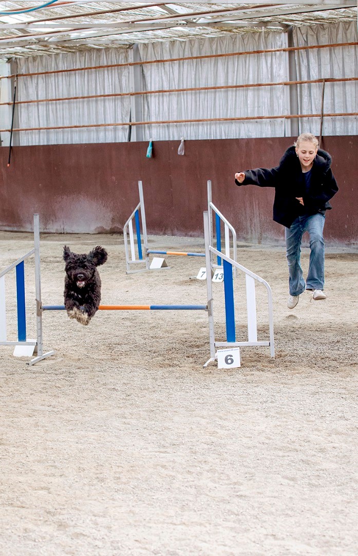 08 - Tiril og Maxi_Lysnet hund og jakke.jpg