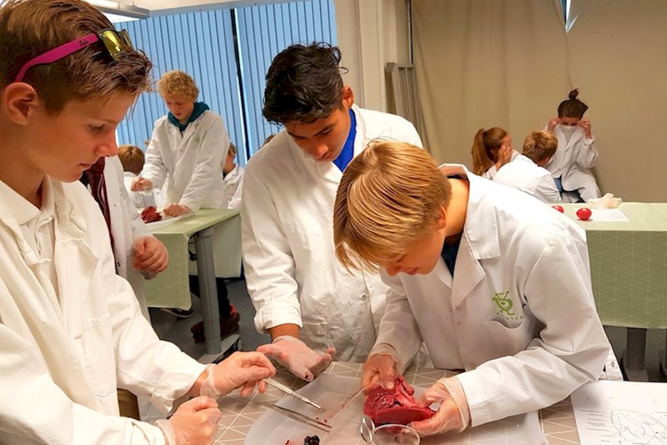 Disseksjon_Ytrebygda skole 9. trinn gutter 4-3-format (003).jpg