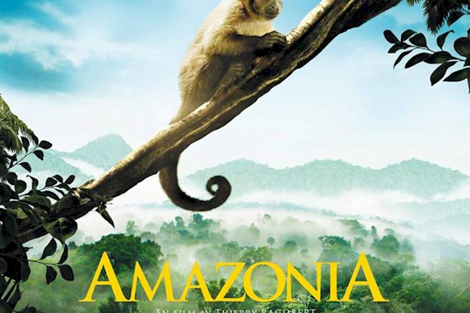 Amazonia Film Biblioteket.jpg