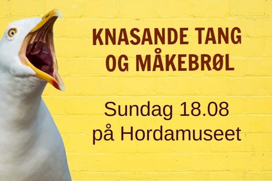Knasande tang Hordamuseet.jpg