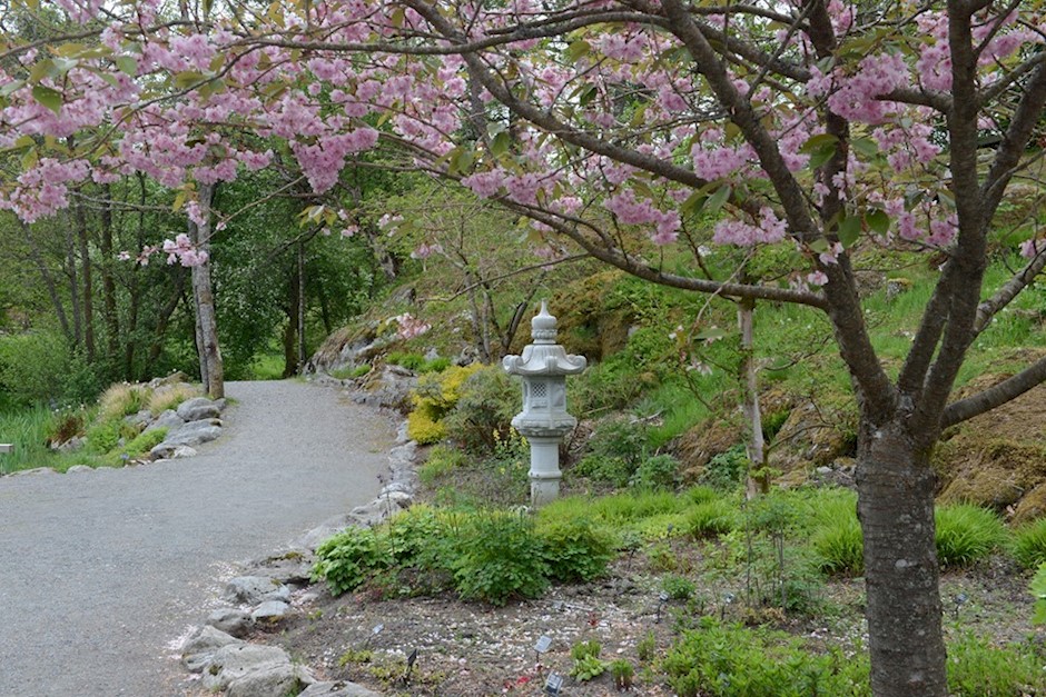 Arboretet og Botanisk hage.jpg