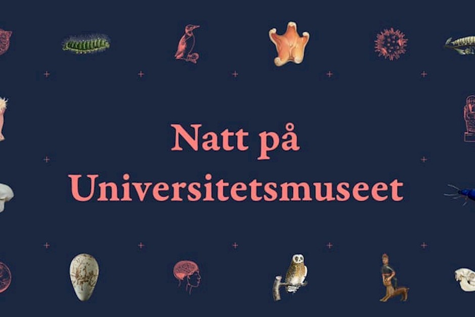 Natt på Universitetsmuseet.jpg