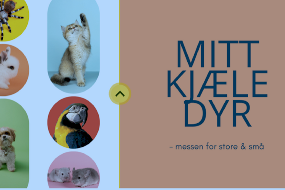 Kjæledyrsmesse.png