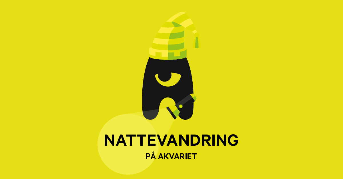 nattevandring Akvariet.png