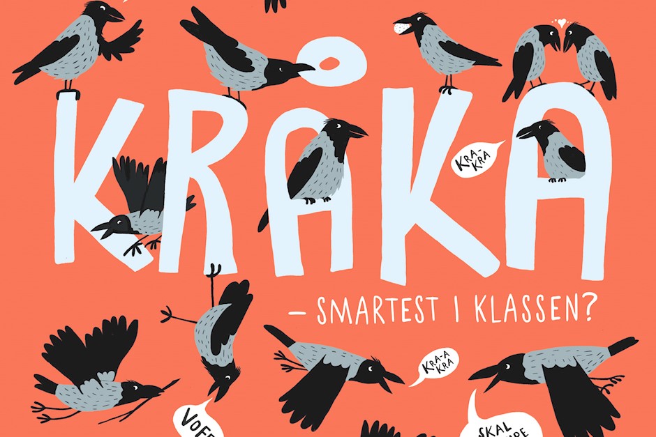 Omslag, Kråka jpg.jpg