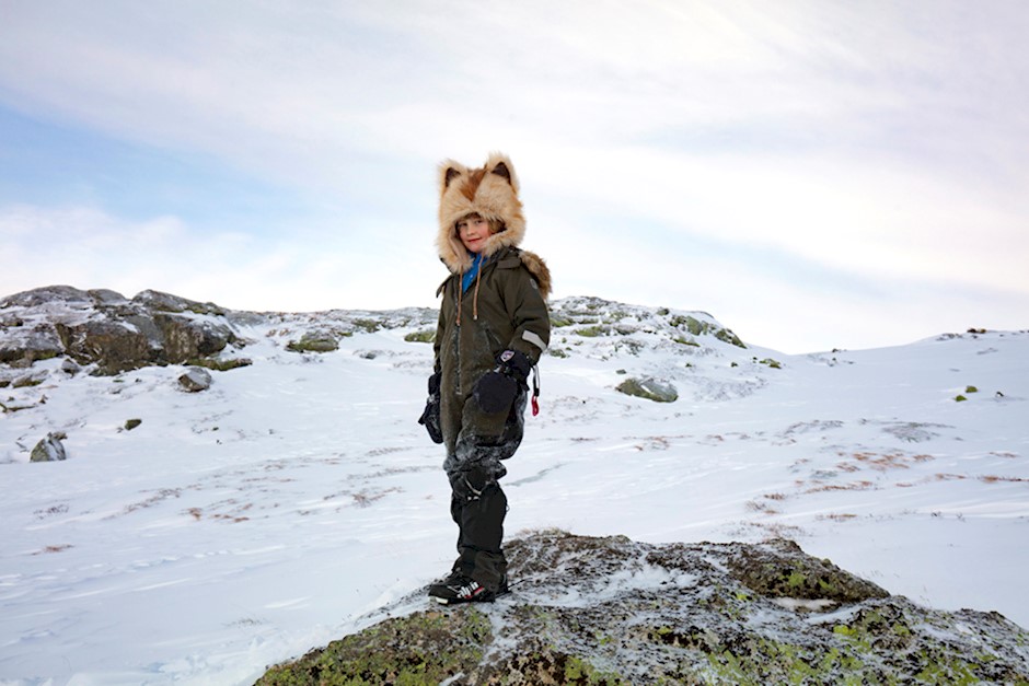 Fjellreven2D2A4945.jpg