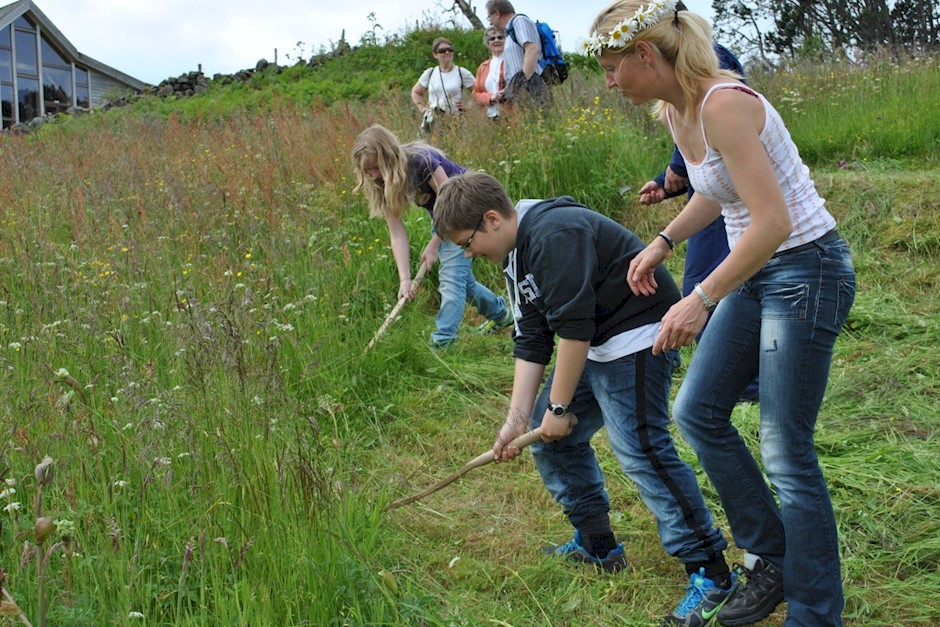 Slått med Tove og elevar 2011.jpg