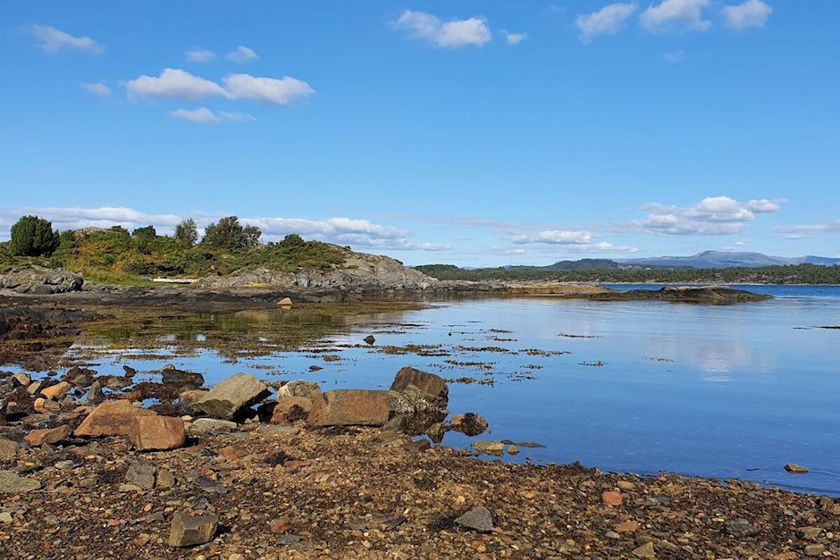 Naustvika.jpg