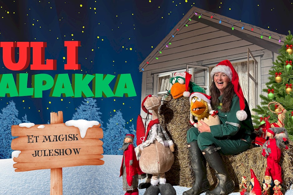 Jul i alpakka Alpakkagården Besøksgård.jpg