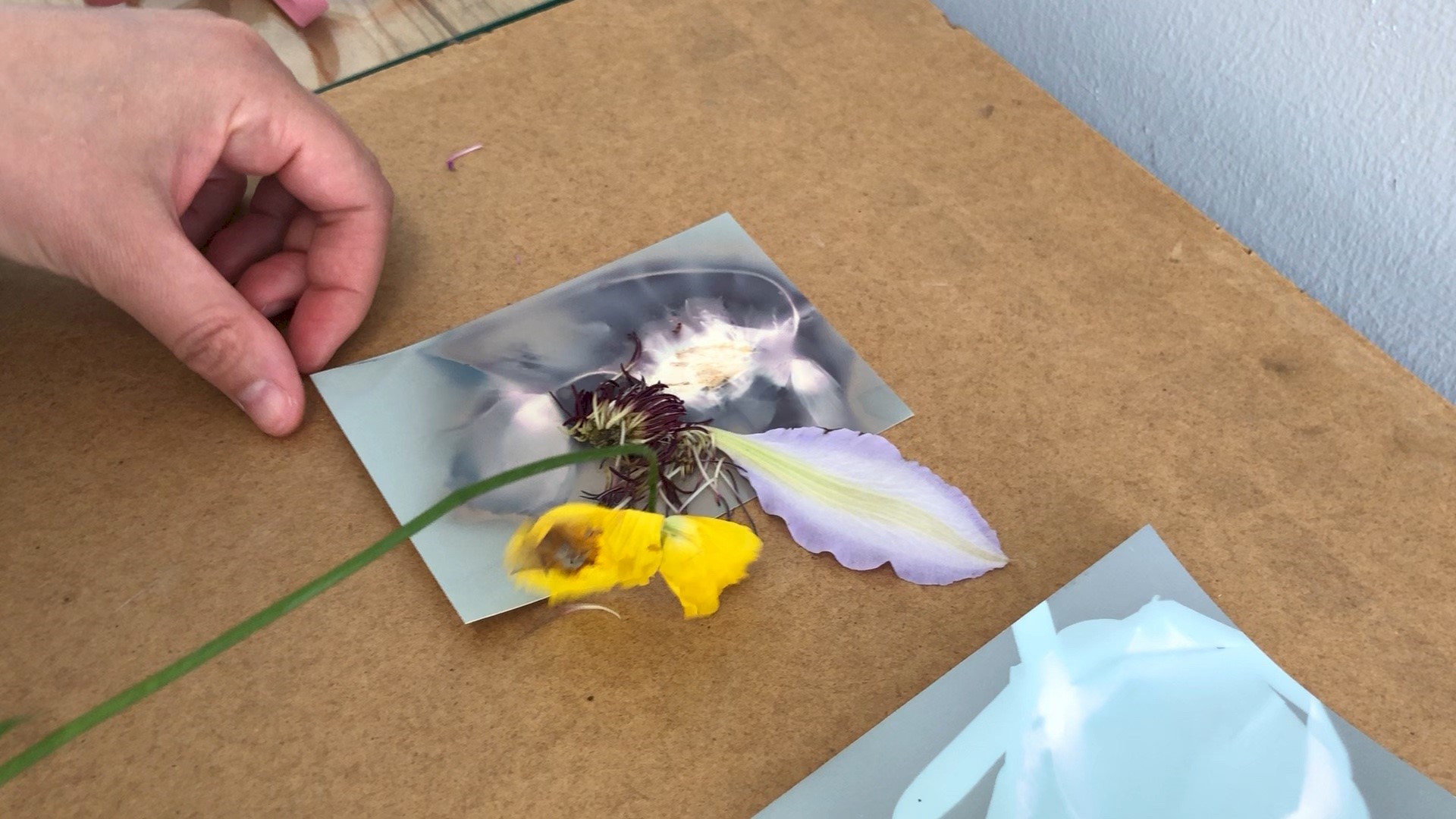 5_lumenprint.jpg (1)