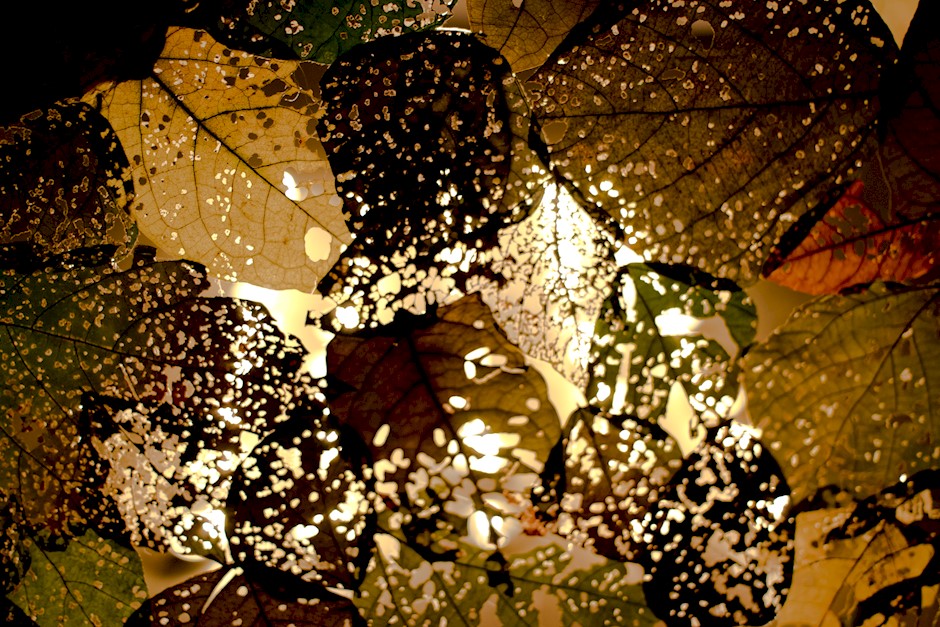 Landart1.jpg