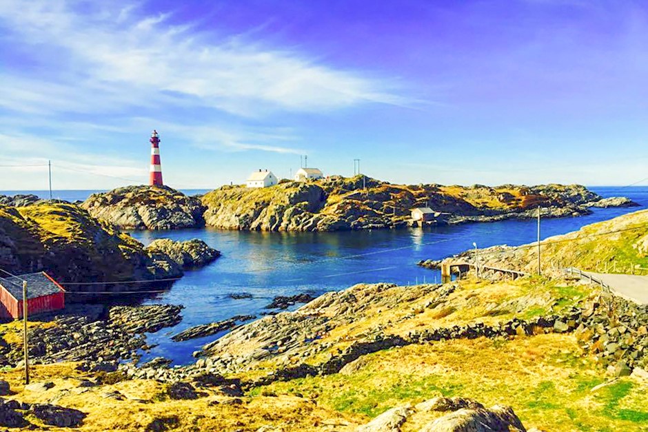 Fyrferie_30x40.jpg