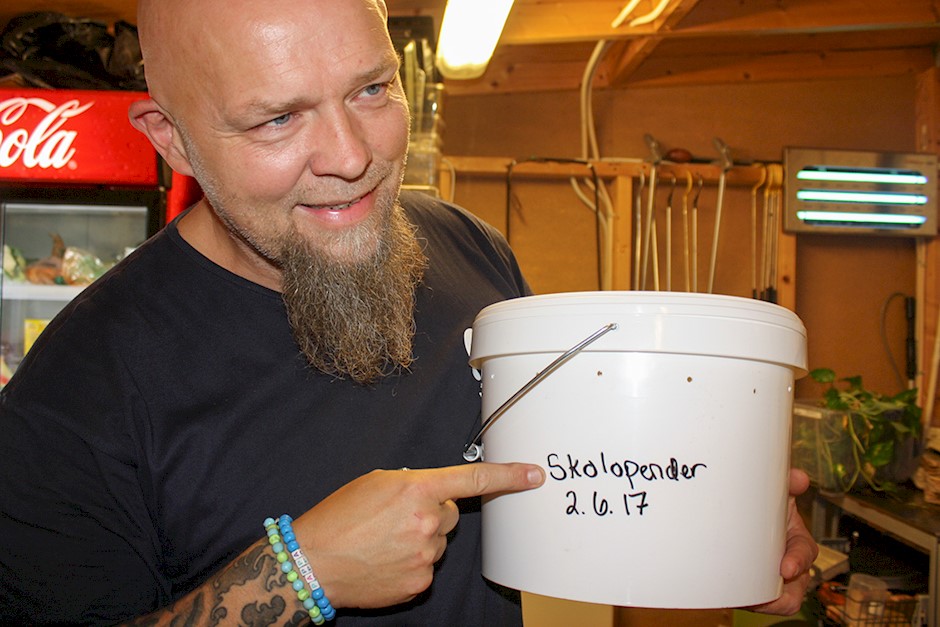 Skrekk&Gru_1467.JPG